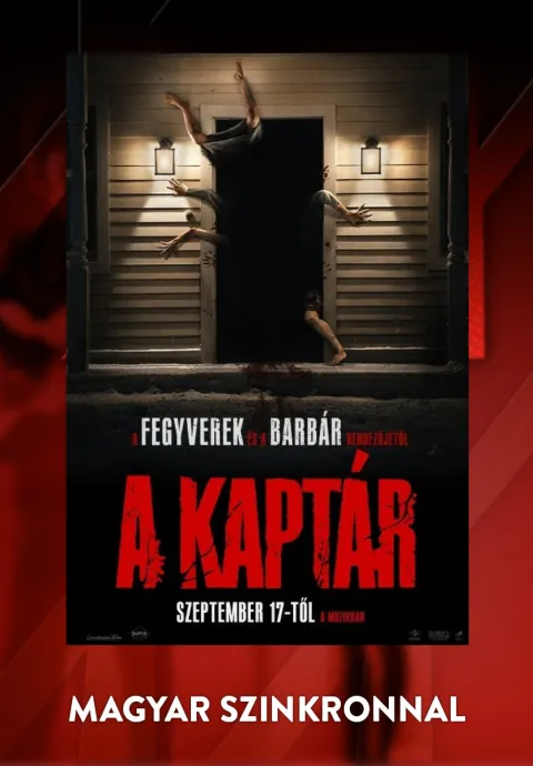 A kaptár